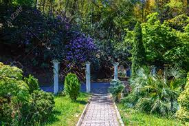 حديقة باتومي النباتية